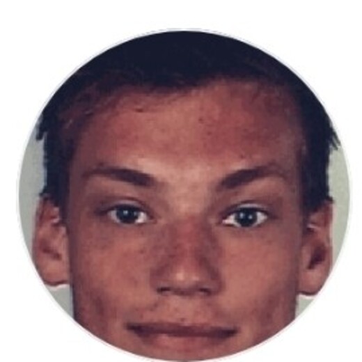 Fabian van Steenwijk